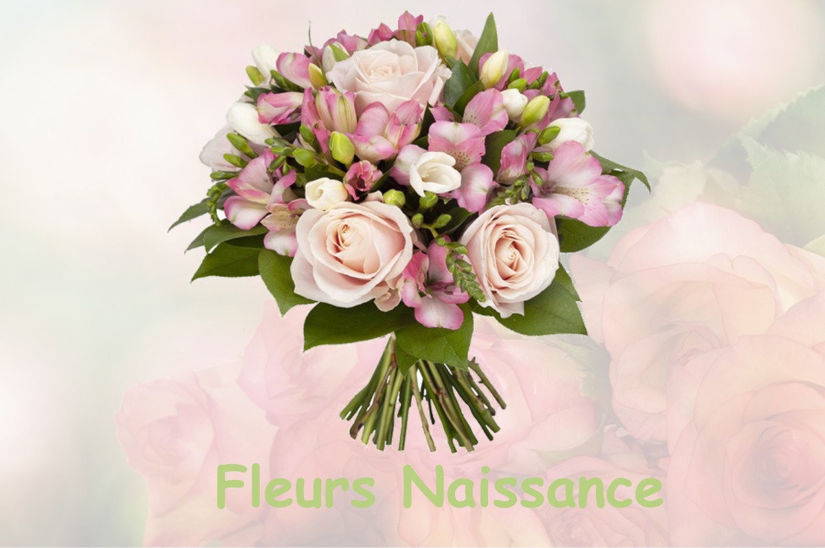 fleurs naissance SAINTE-MARIE-D-ALVEY